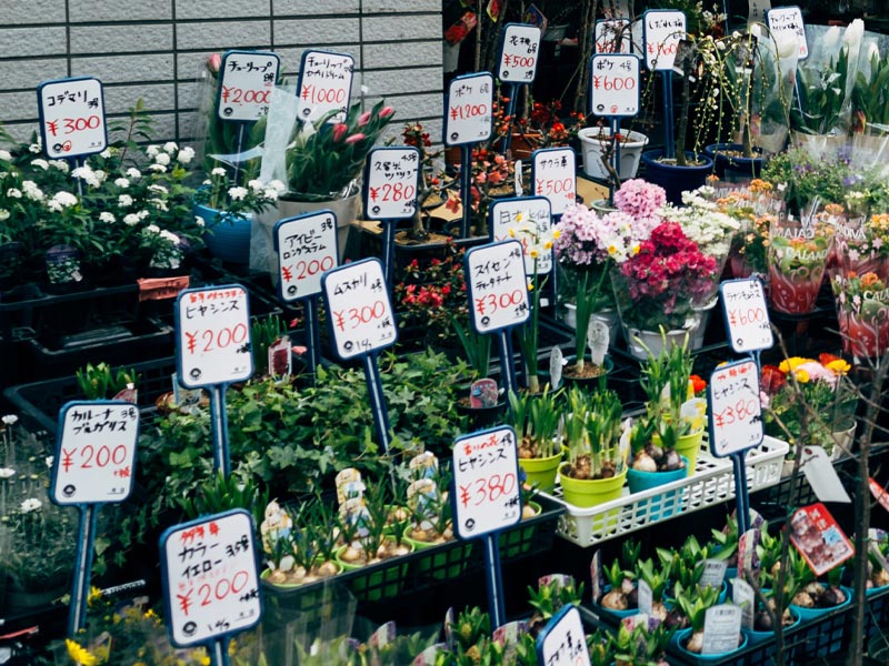 แนะนำร้านดอกไม้สำหรับคนชอบดอกไม้สดสวย-ๆ-และความสะดวกสบาย