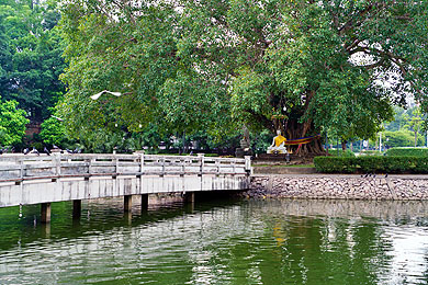 บรรยากาศในวัดพระศรีมหาธาตุ